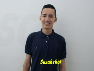 Susakehot