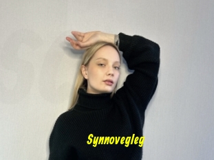 Synnovegleg
