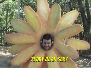 TEDDY_BEAR_SEXY