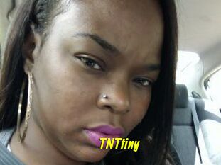 T_N_Ttiny