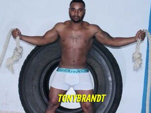 TONYBRANDT