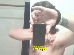 TSFidget