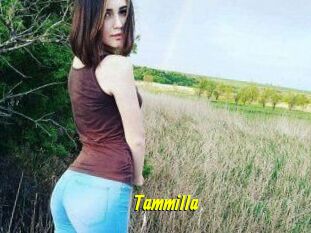 Tammilla_