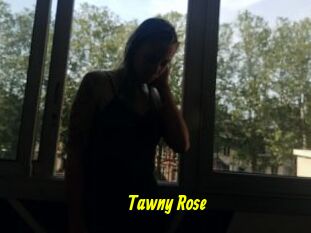 Tawny_Rose