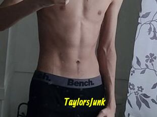 TaylorsJunk