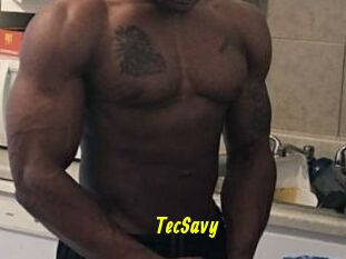 TecSavy