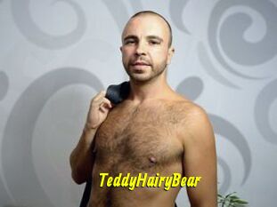 TeddyHairyBear