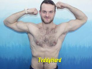 TeddyHard
