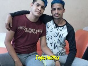 Tegusta29xx