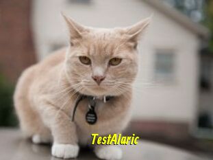 TestAlaric