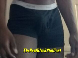 TheRealBlackStallion1
