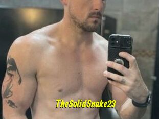 TheSolidSnake23