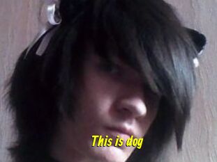 This_is_dog