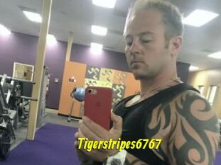 Tigerstripes6767