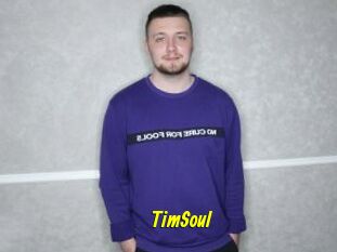 TimSoul