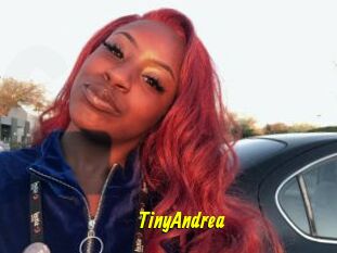 TinyAndrea