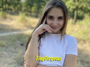 TinyGorgeous