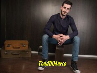 ToddDiMarco