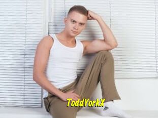 ToddYorkX