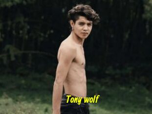 Tony_wolf