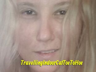 TravellingIndoorCatToeToHoe