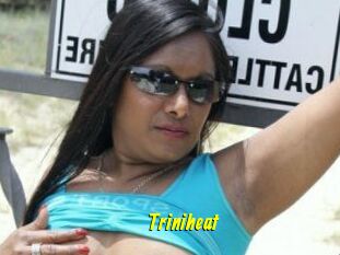 Triniheat