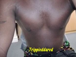 Trippieddared