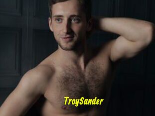 TroySander