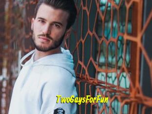 TwoGaysForFun