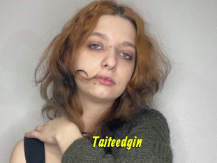Taiteedgin
