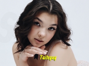 Taiteguy
