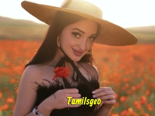 Tamilsgeo