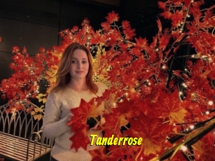 Tanderrose