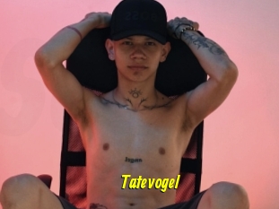 Tatevogel
