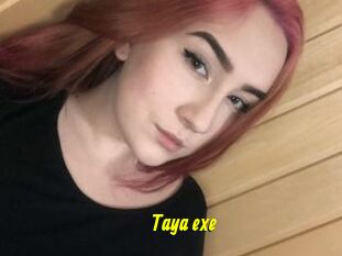 Taya_exe