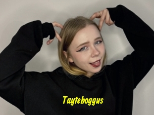 Tayteboggus