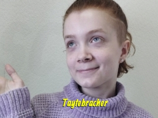 Taytebracher