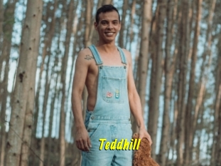 Teddhill