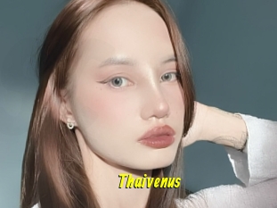 Thaivenus