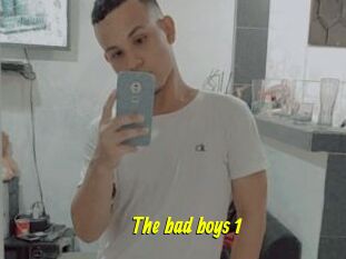 The_bad_boys_1