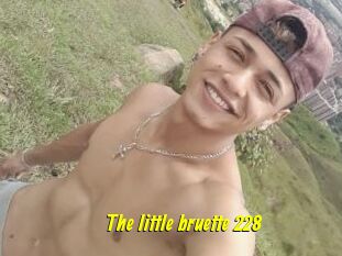 The_little_bruette_228