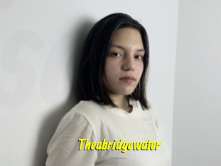 Theabridgewater