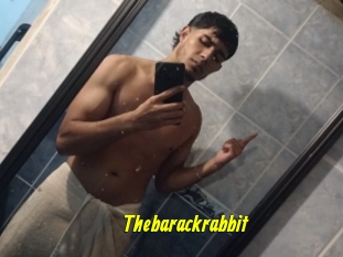 Thebarackrabbit