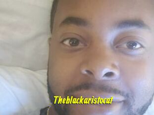 Theblackaristocat