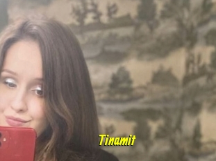 Tinamit