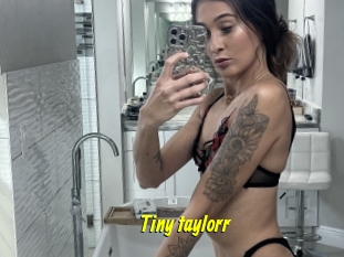 Tiny_taylorr