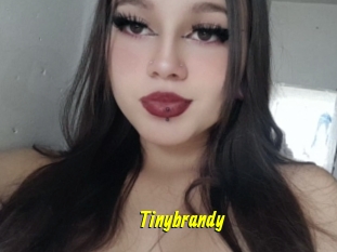Tinybrandy