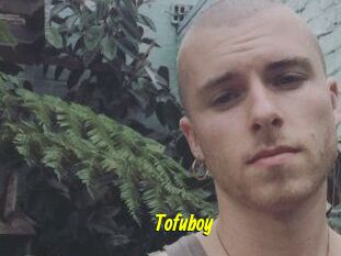 Tofu_boy