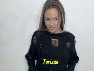 Torisan