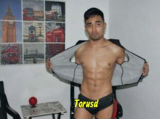 Torusd
